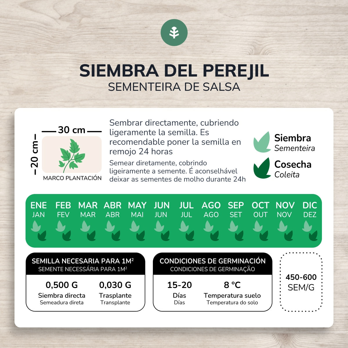 Ekologiska frön av vanlig bredbladig persilja Planeta Huerto