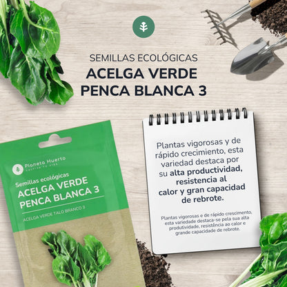Organic Green Beet Seeds Planeta Huerto