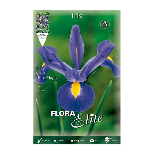 Bulbi Iris Holanda blu 10 pz