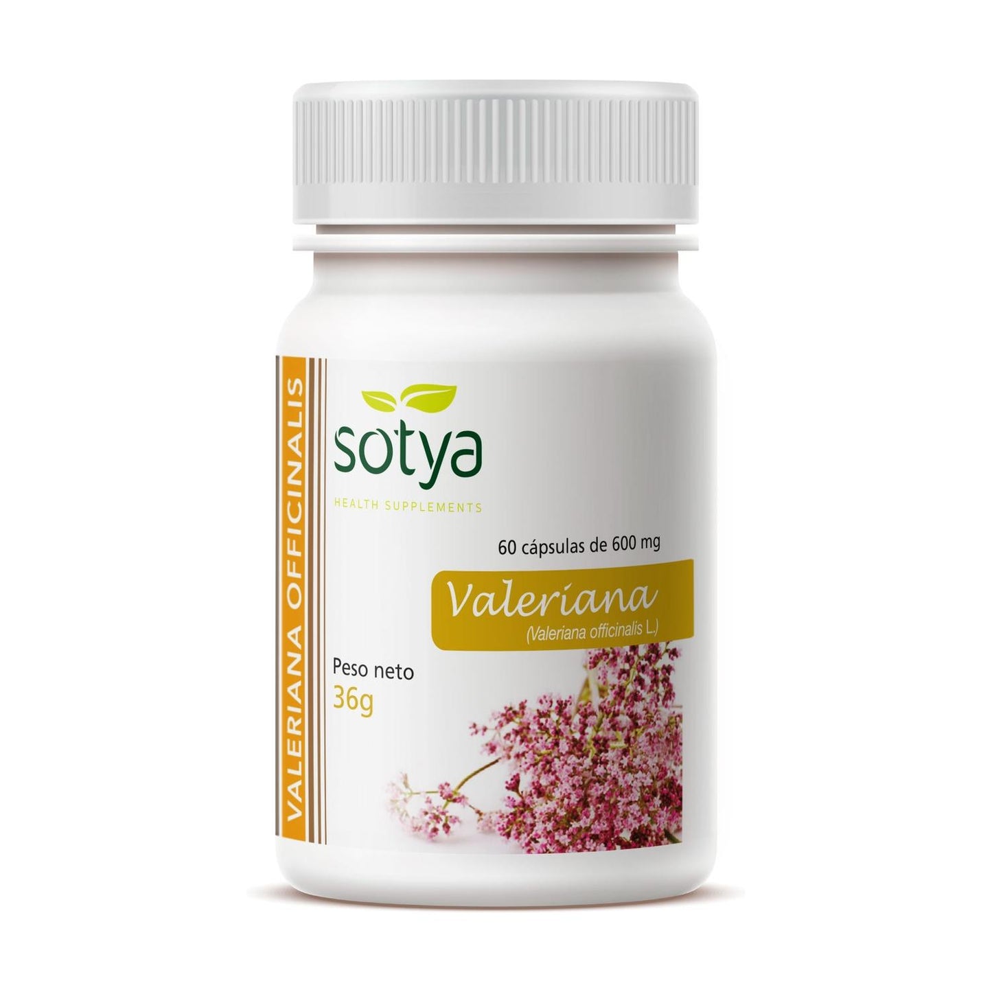 Waleriana 600 mg, 60 kapsułek Sotya