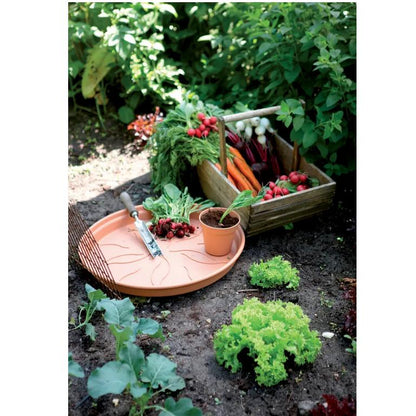 Green Basics Elho Terra schaal 22 cm