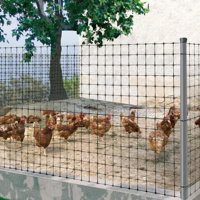 Grillage pour poulailler Avinet Nortene 24 x 27 mm