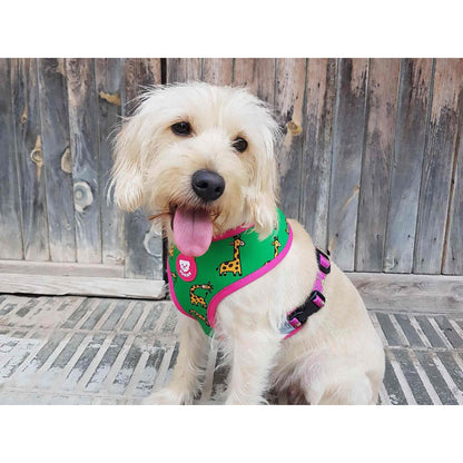 Wendbarer Hundegurt SAVANA Dukier XL