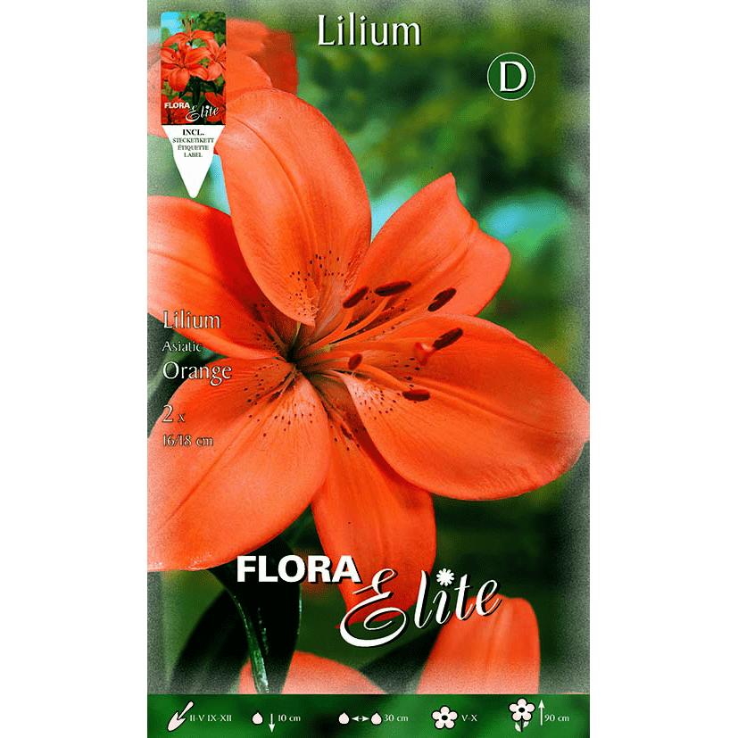 Bulbo Lilium asiatic naranja 2 uds
