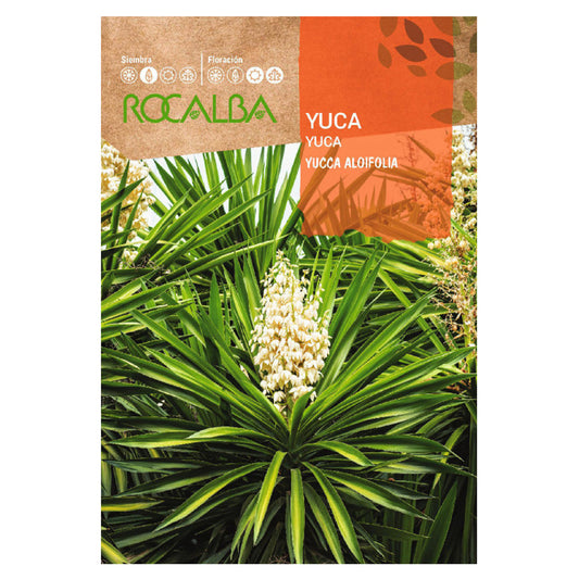 Graines de manioc, Rocalba