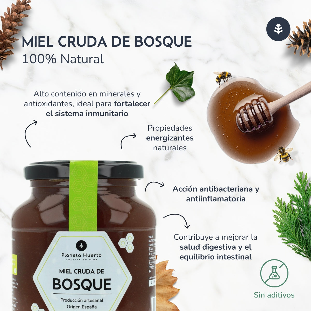 Pack 6x Miel Cruda de Bosque Planeta Huerto 1 Kg