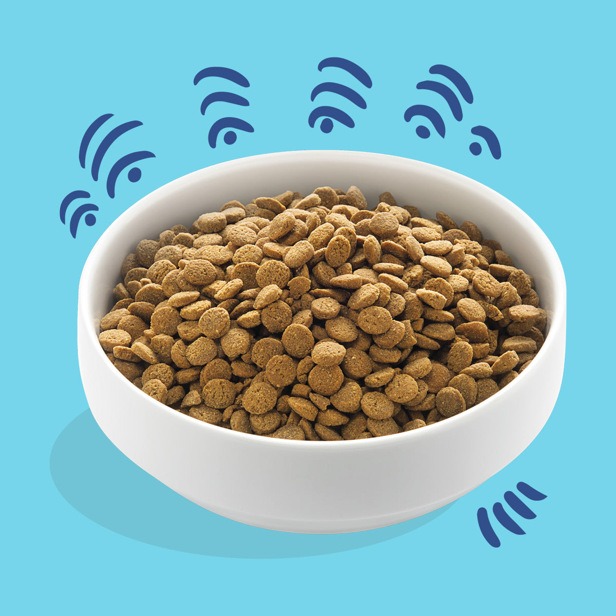 Croquettes pour chiens au saumon norvégien Edgard & Cooper 1 kg