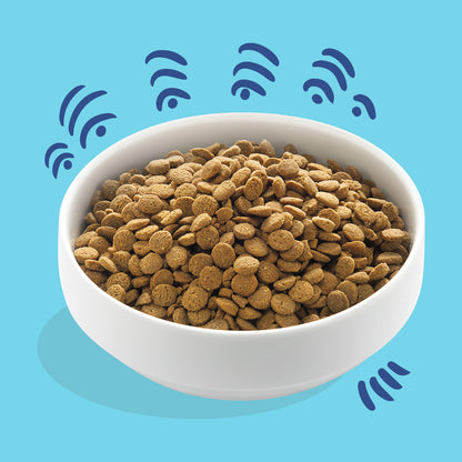 Croquettes pour chiens au saumon norvégien Edgard & Cooper 1 kg