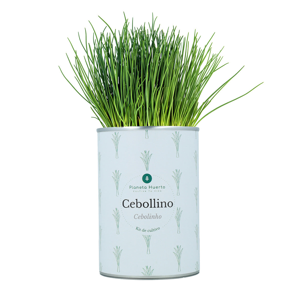 Aromatische kweeksets Kistpakket Planeta Huerto