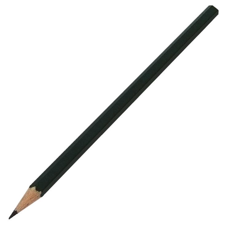Étiquettes en zinc 25 cm Biotop – 10 unités + crayon pour potager et jardin