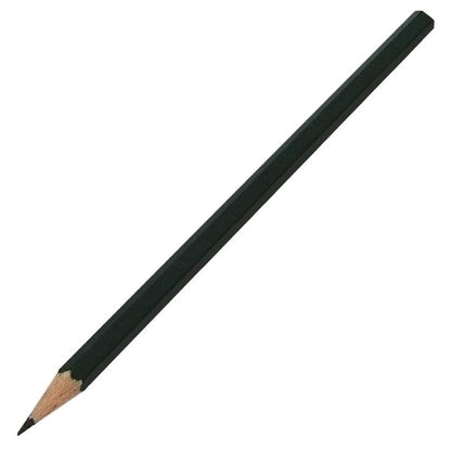 Étiquettes en zinc 25 cm Biotop – 10 unités + crayon pour potager et jardin