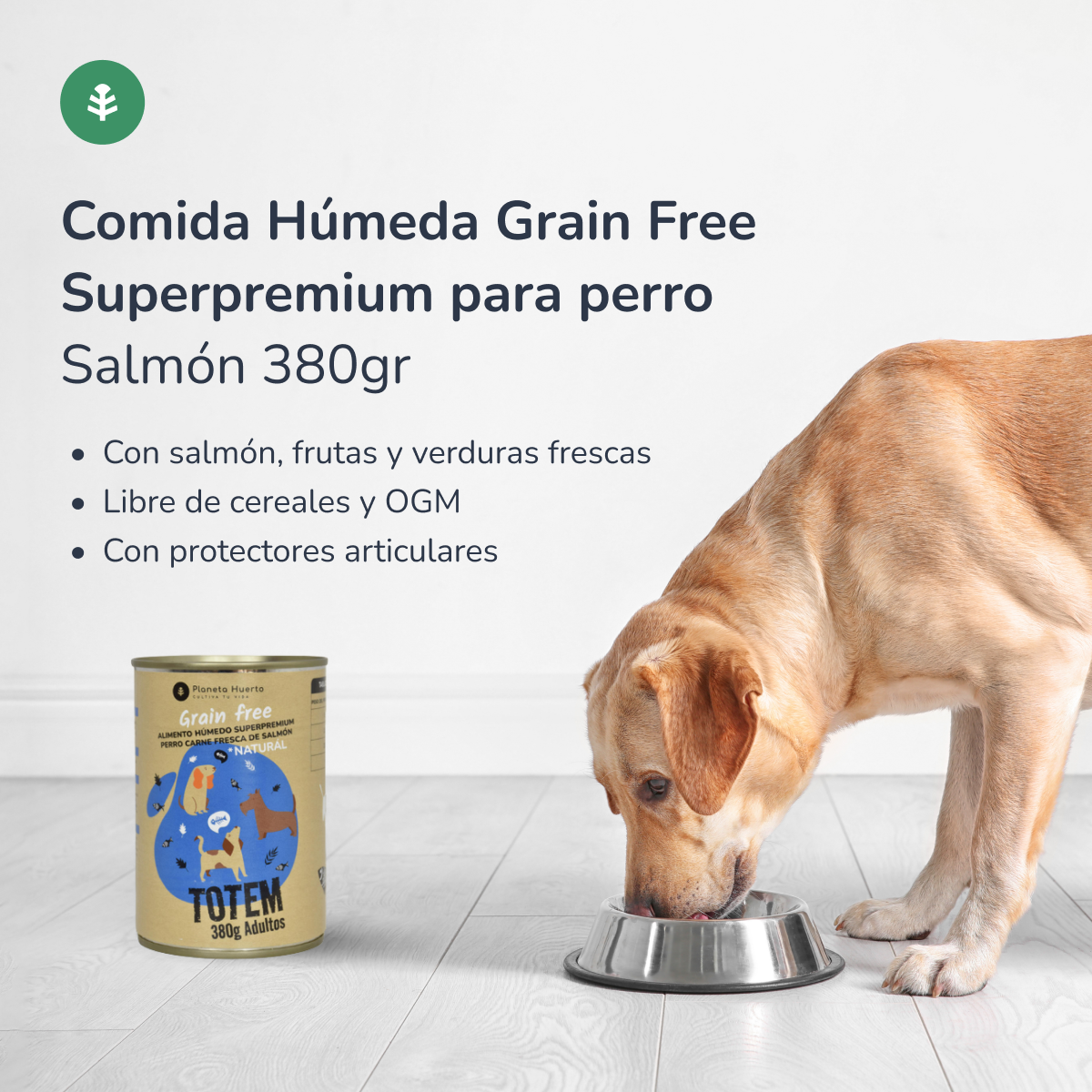 Opakowanie 6 x Bezzbożowa mokra karma Superpremium dla psów Łosoś 380 g Planeta Huerto