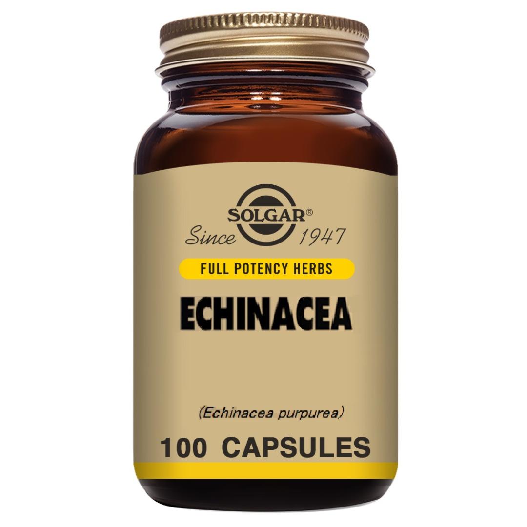Echinacea, 100 kapsułek po 520 mg