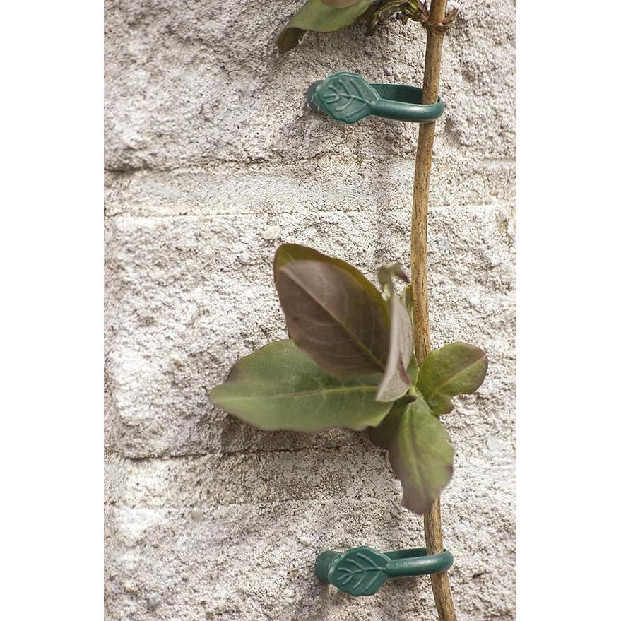 Klammer für Kletterpflanzen mit Nagel Biotop 8 Stück