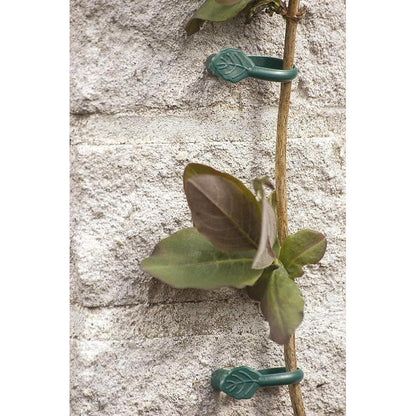 Klammer für Kletterpflanzen mit Nagel Biotop 8 Stück