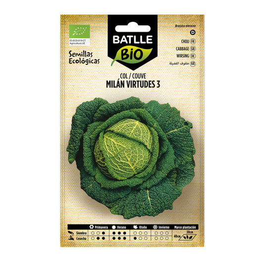 Graines de chou Milan Virtudes 3 écologiques Batlle