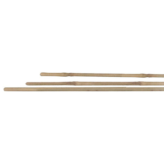 Set of 4 bamboo stakes, 150 cm
