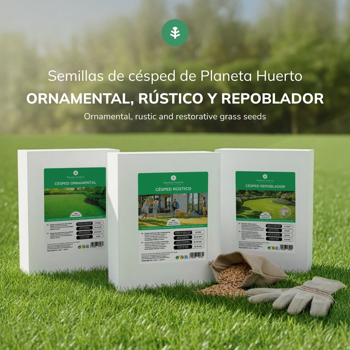 Graines de gazon de repeuplement Planeta Huerto 1 kg