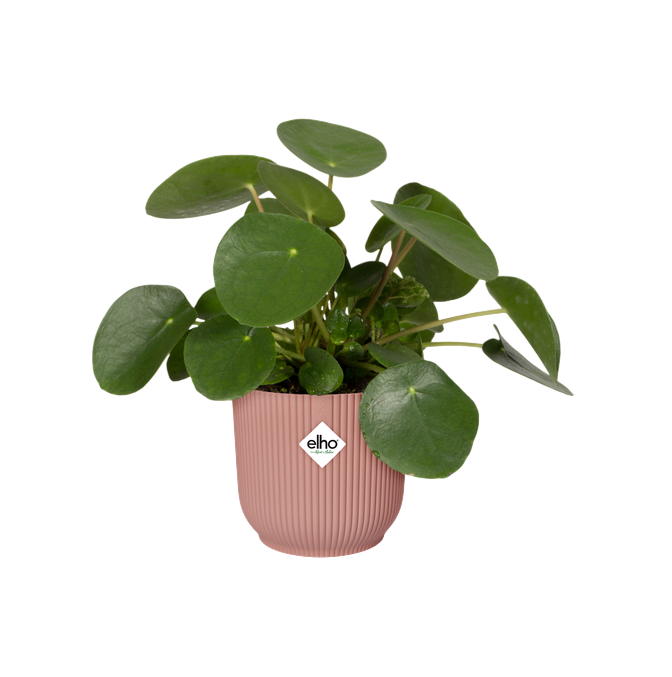 Doniczka Vibes Fold Round Delicate Pink Elho 30 cm