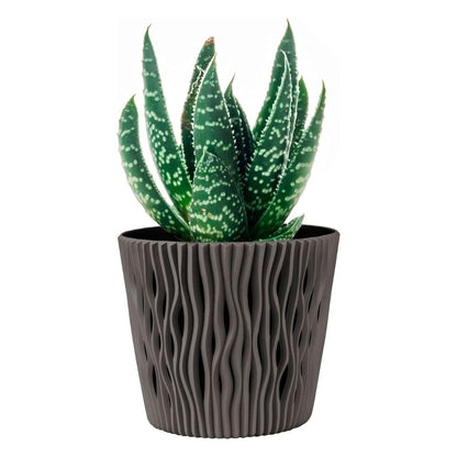 Pot Duna avec insert gris taupe D 22 x 19