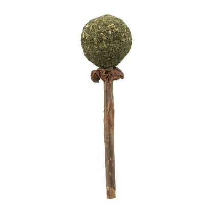 Sucette Matatabi, Trixie 11 cm
