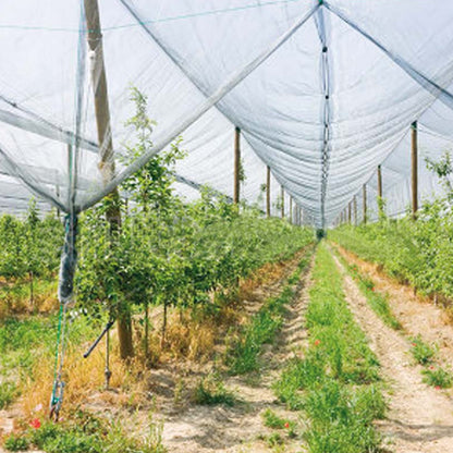 Hagelnet Verdemax 2 x 20 m