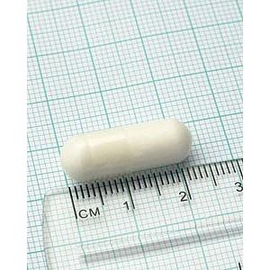 Acetyl-L-carnitine Lamberts