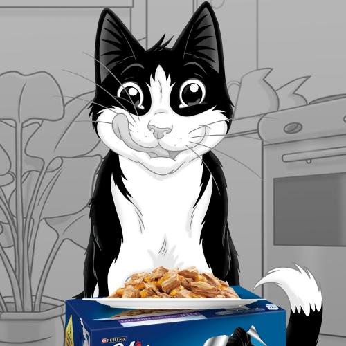 FELIX Duo Festín de Sabores in Gelatine 12 x 85 g