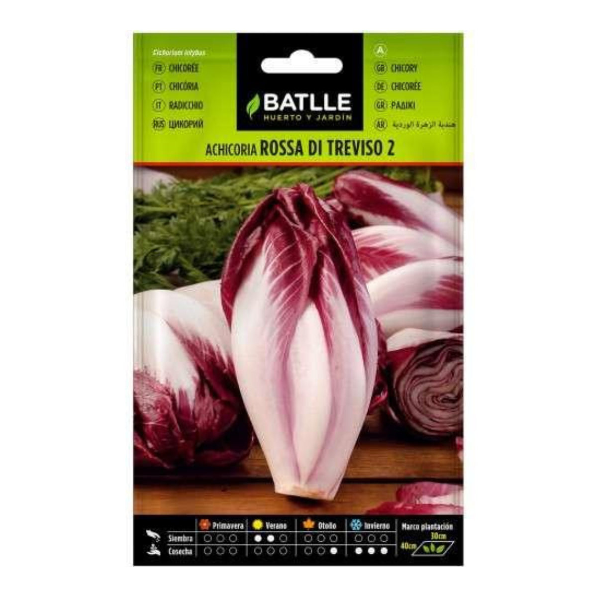 Nasiona cykorii Rossa di Treviso Batlle