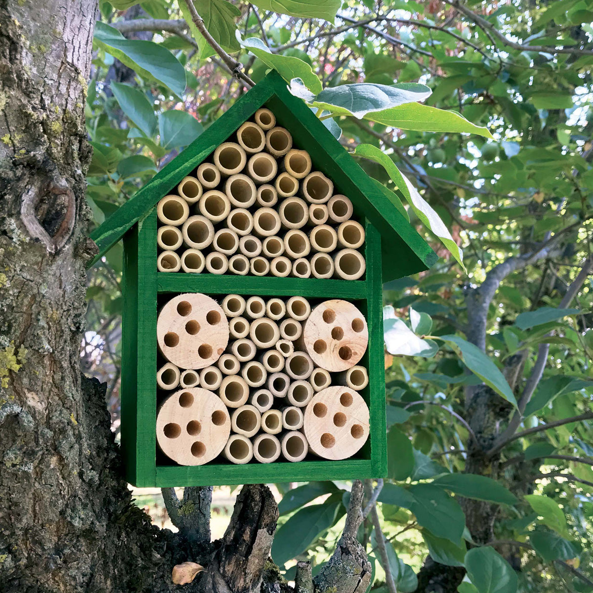 Verdemax Bamboo Insect Hotel