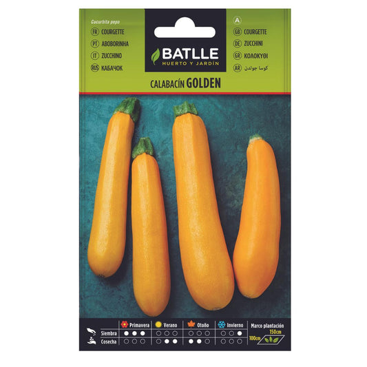 Zaden van courgette Golden Batlle