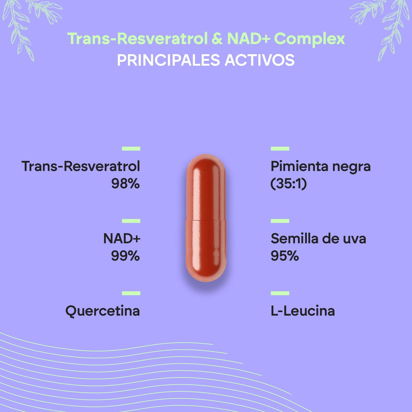 Nutralie Trans Resveratrol und NAD+ Complex 686 mg 60 Kapseln