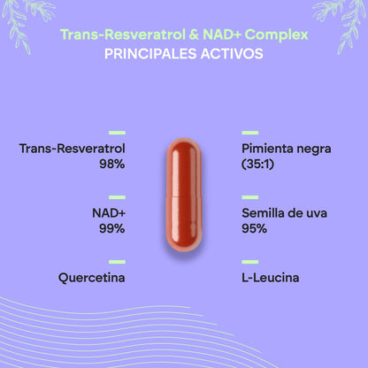 Nutralie Trans Resveratrol und NAD+ Complex 686 mg 60 Kapseln