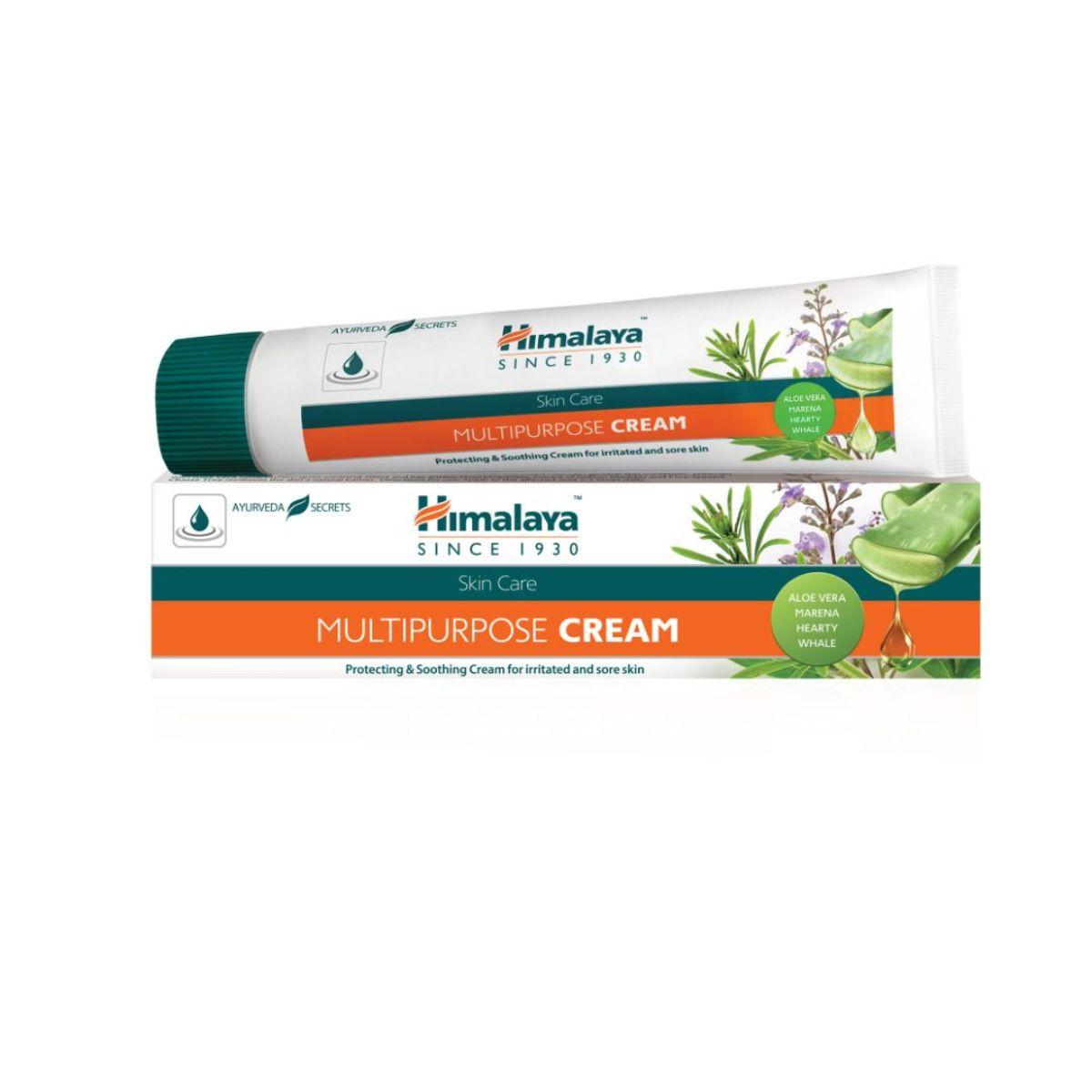 Himalaya antiseptische multifunctionele zalf 20 g