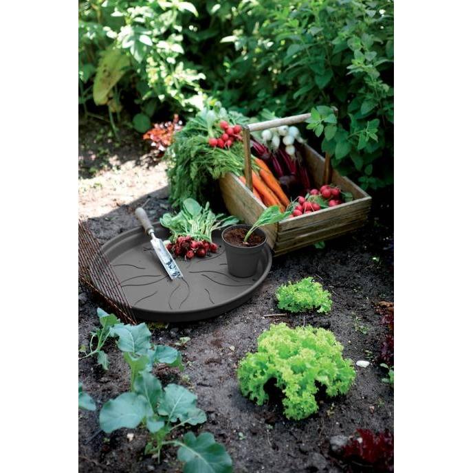 Piatto vaso Green Basics Elho Antracite 25 cm