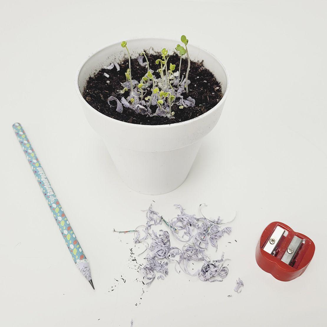 Plantable Seed Pencil, Eco-Friendly, Sustainable and Fun Garden Pocket