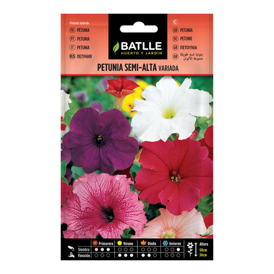 Nasiona petunii średniej wysokości Batlle