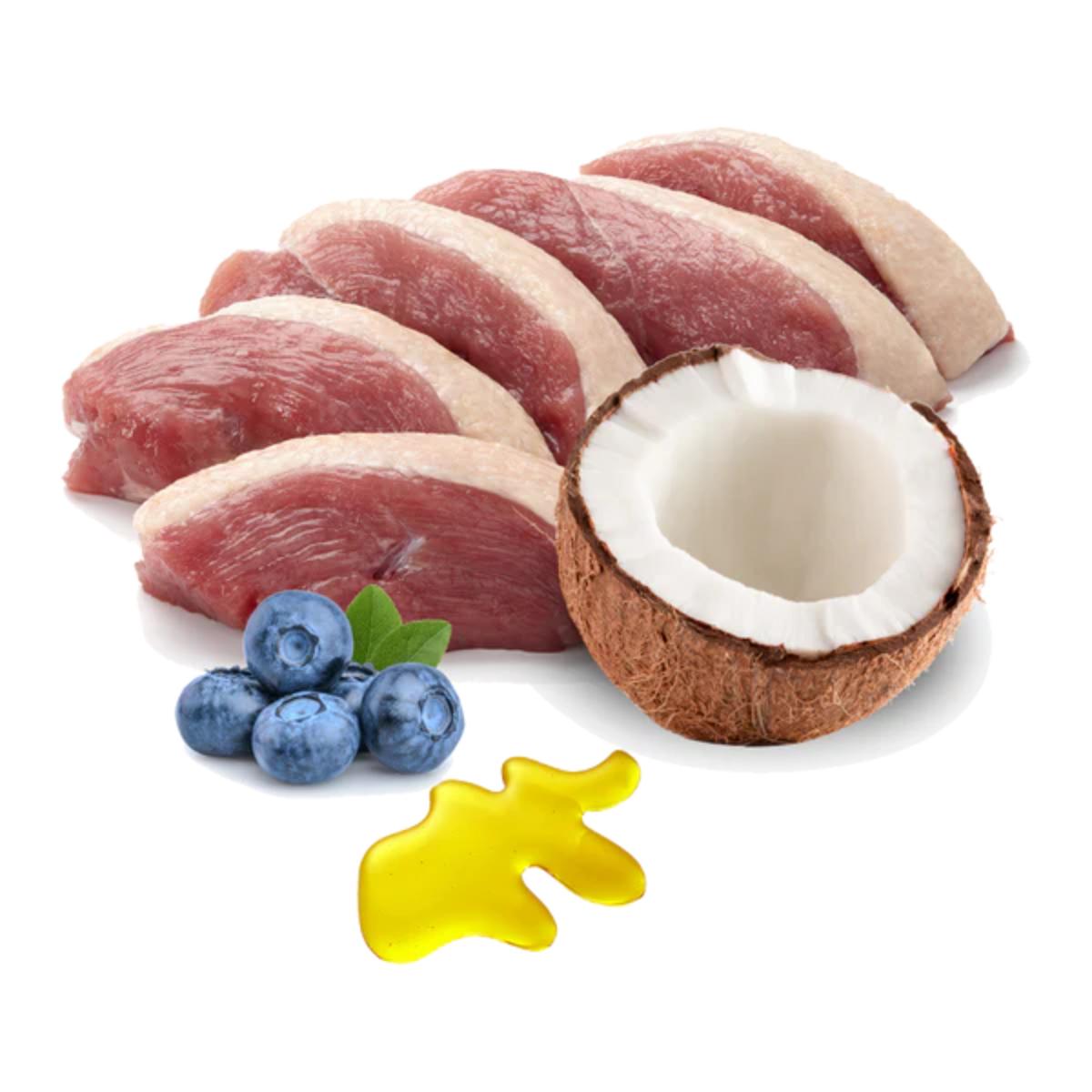 Barf-Nassfutter für Katzen Ronroneos sin fin (Ente) BIO Puromenu  100 g