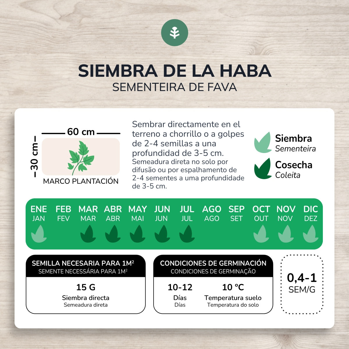 Graines de haricots bio Aguadulce Planeta Huerto