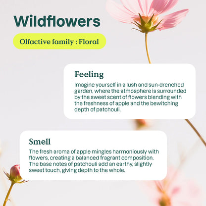 Recharge écologique pour lessive Wildflowers Nature + technologie 2 L 80 lavages