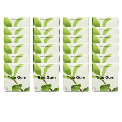 24er-Pack plastikfreier Kaugummi mit frischer Minze True Gum 21 g