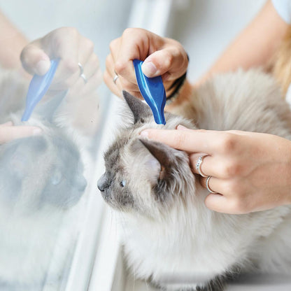 Calming Spot On  Kalmerende pipetten voor katten Beaphar 3x0,4 ml