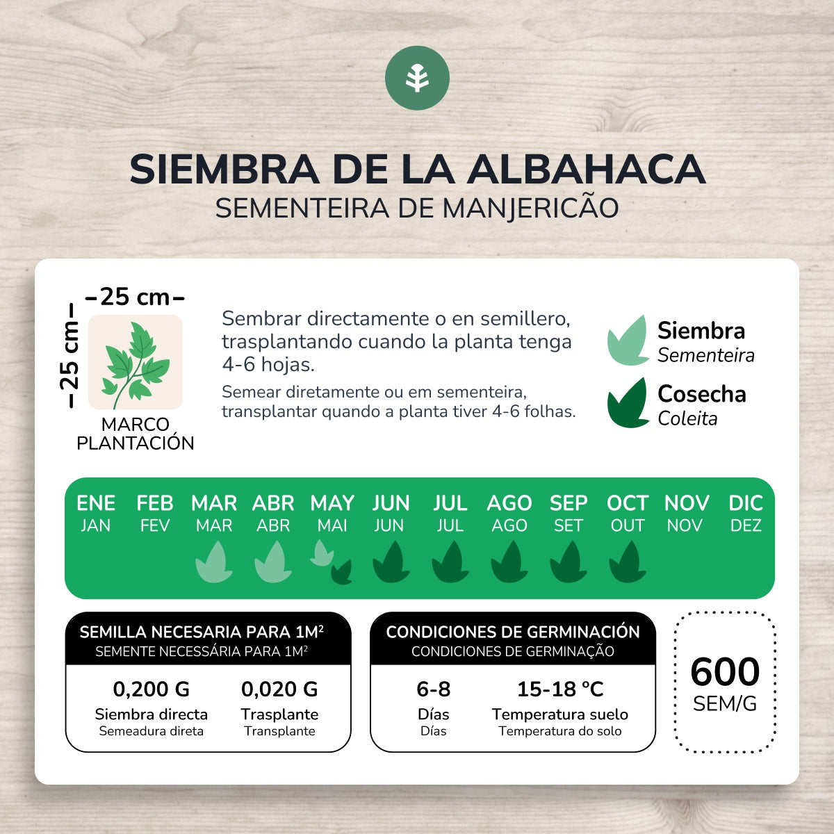 Organiska frön av Genovese Basil Planeta Huerto