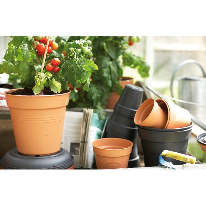 Pot Green Basics Elho Terra 19 cm