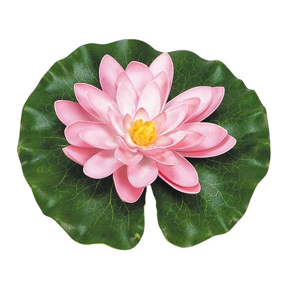 Nénuphar rose avec gouttes