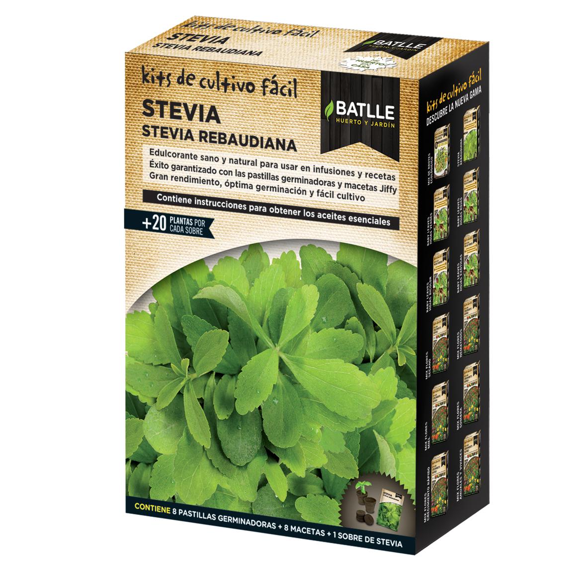 Kit de culture Stevia Rebaudiana Batlle