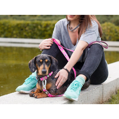 Klasyczna uprząż dla psa DOGTELLA Dukier L