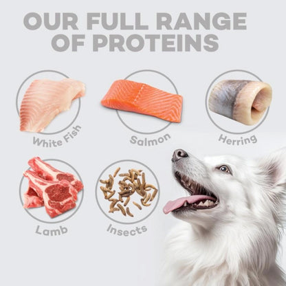 Nature's Protection White Dog Getreidefreies Futter Lamm für kleine Rassen 1,5 kg