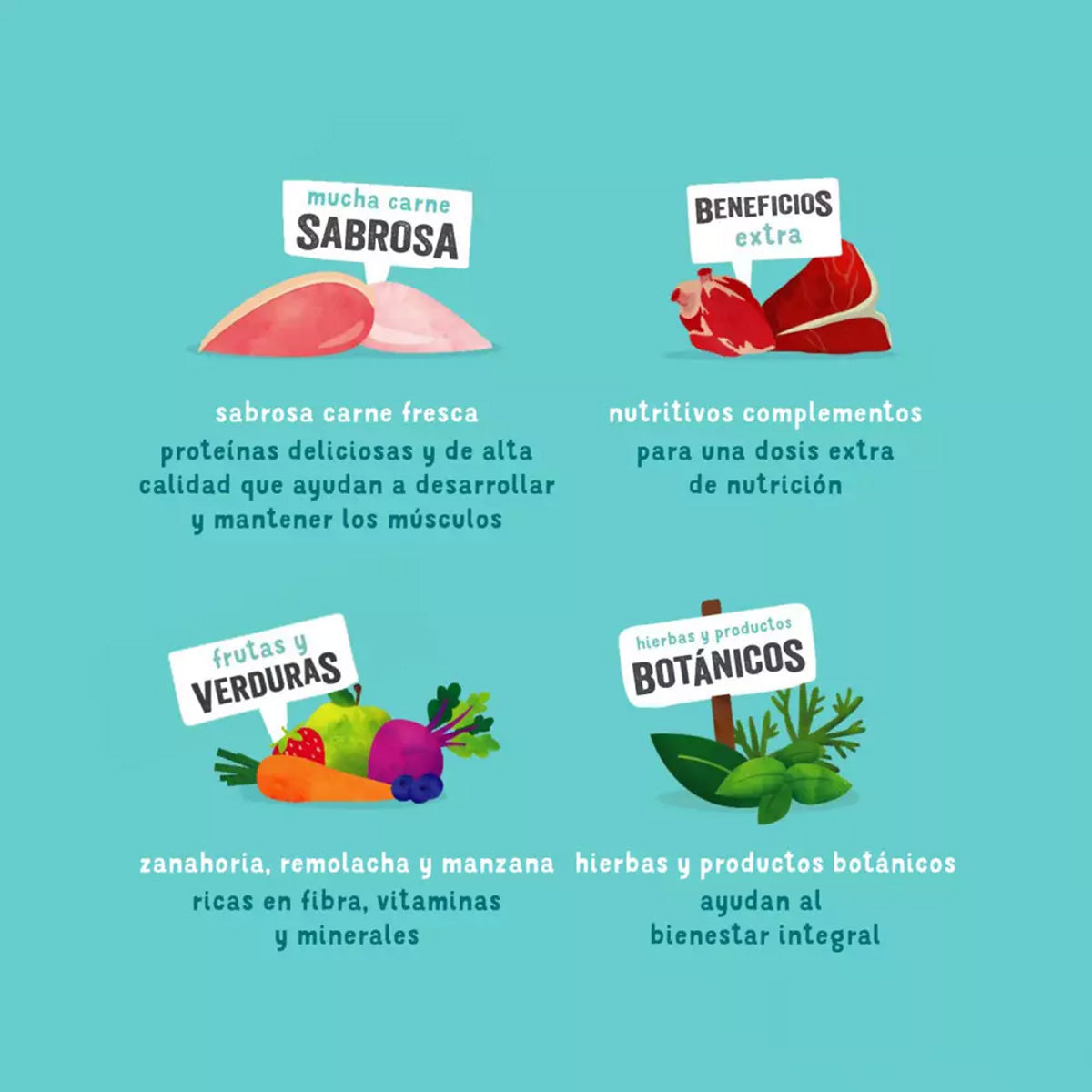 Multipack våtfoder för hundar Edgard & Cooper 6 x 400 g