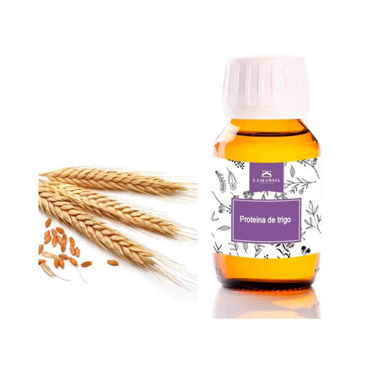 Protéines de blé, 50 ml. Camassia